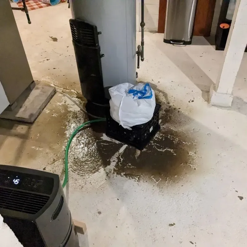 Sewage Backup Cleanup Service in Brewster, NE